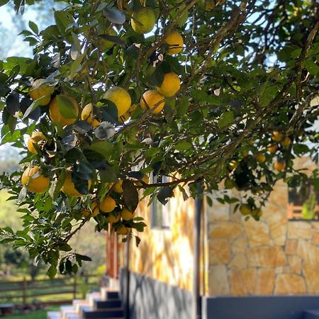 Casa De Campo Fichtelberger Hohenau Екстер'єр фото